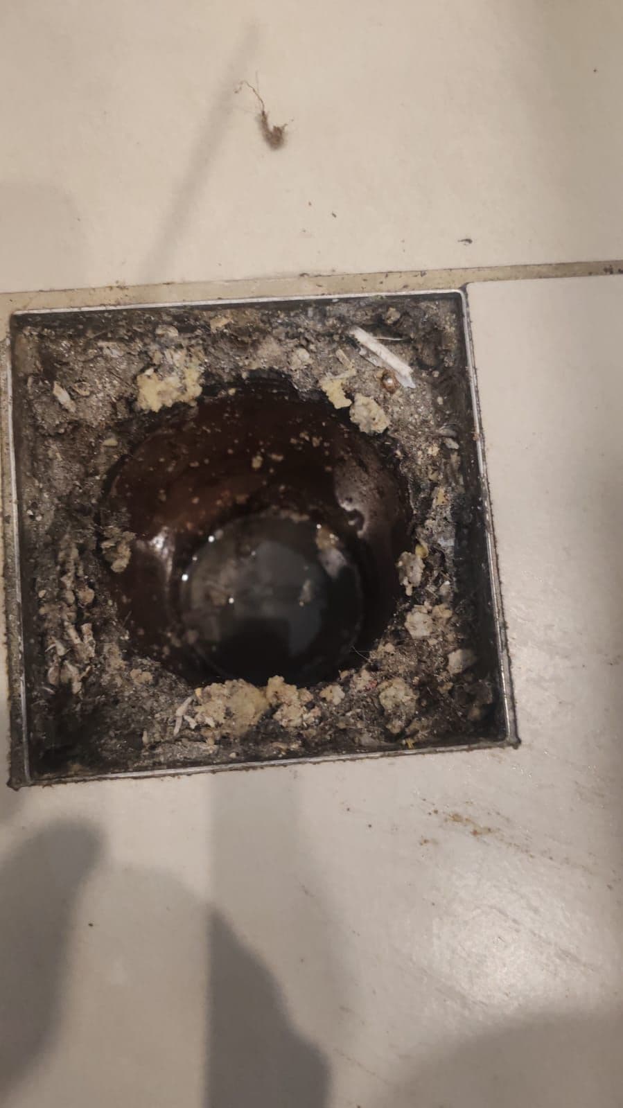 Drain Pro Plumbing Inspection photo 1