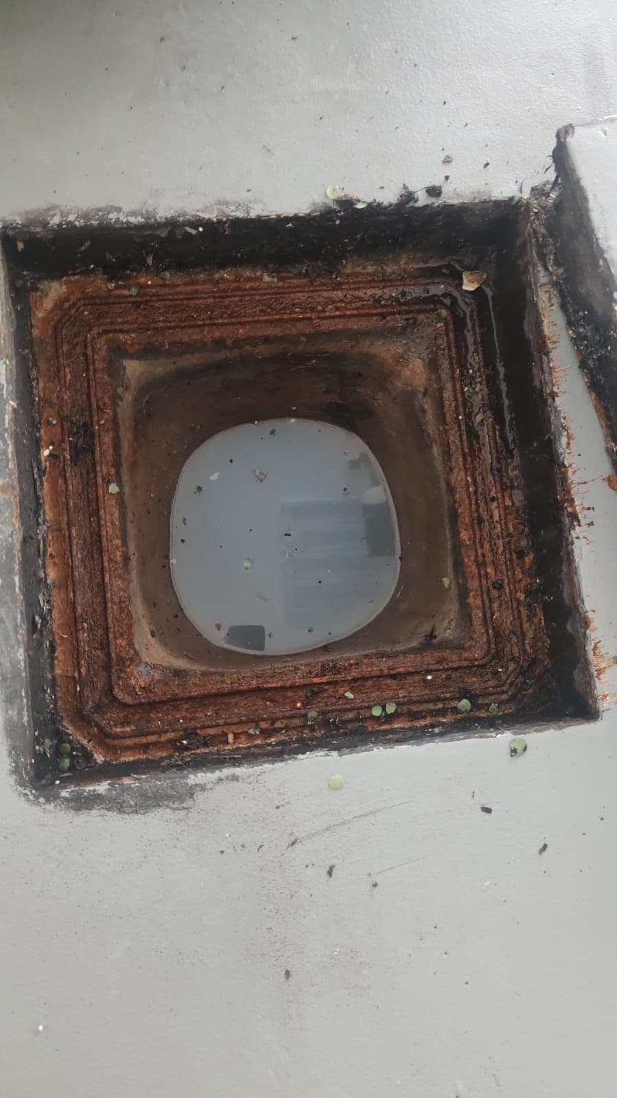 Drain Pro Plumbing Inspection photo 2