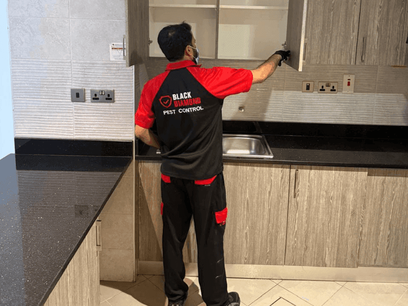 Black Diamond  Pest Control Abu Dhabi photo 2