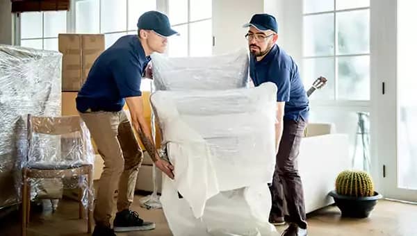KPT Movers 1