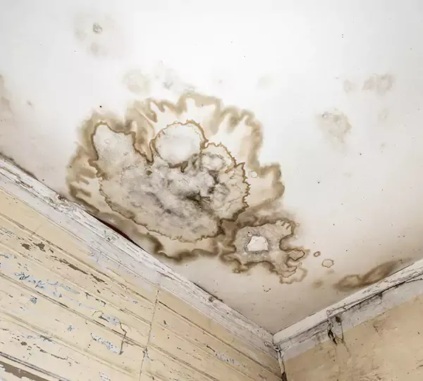 Ceiling Leak Repair Near Me