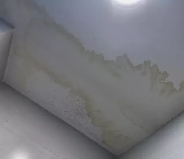 Repair Water Spot on Ceiling in Dubai