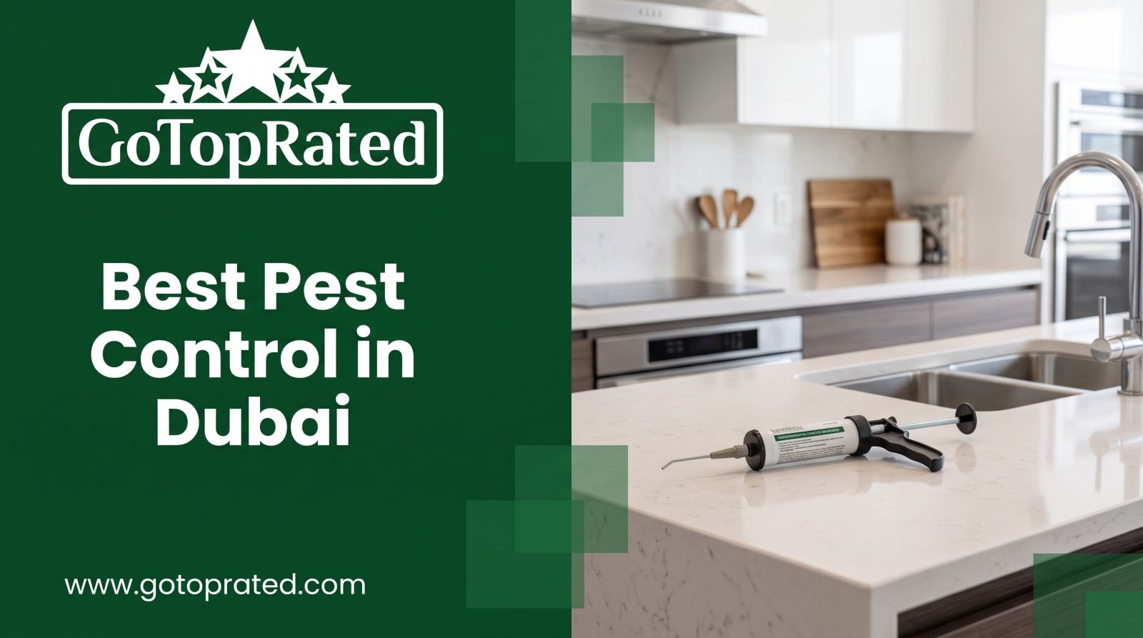 Best Pest Control in Dubai: How to Keep Your Home Bug-Free Permanently